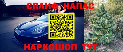 амф Кандалакша