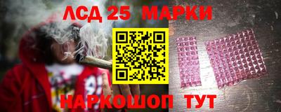 амф Кандалакша