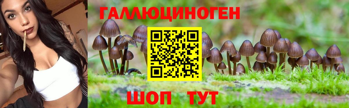 Псилоцибиновые грибы MAGIC MUSHROOMS Чапаевск